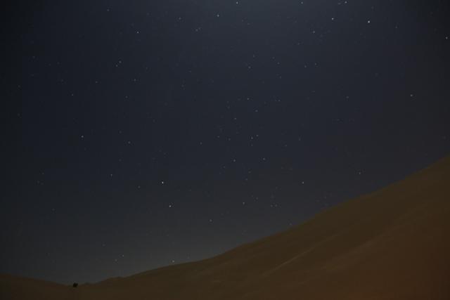 夜は満天の星空 砂漠を四駆で駆け抜ける贅沢ピクニック Mashing Up