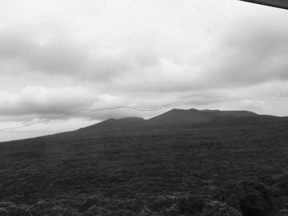 20170616_art_2.jpg