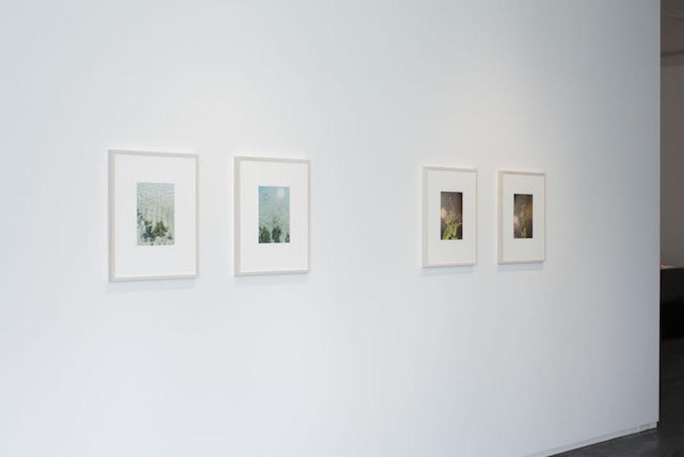 20170919_art_2.jpg