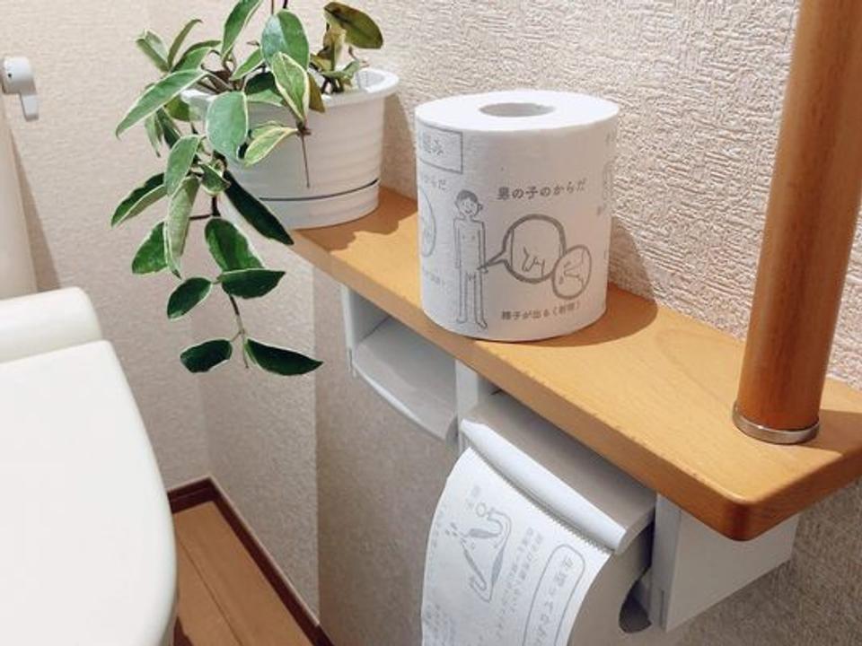 性教育トイレットペーパー