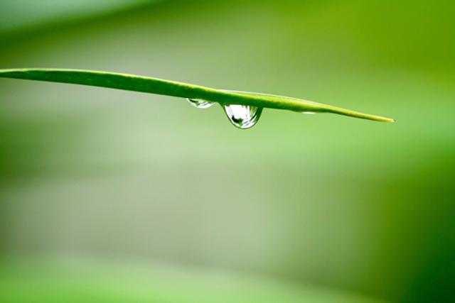 130318_tears.jpg