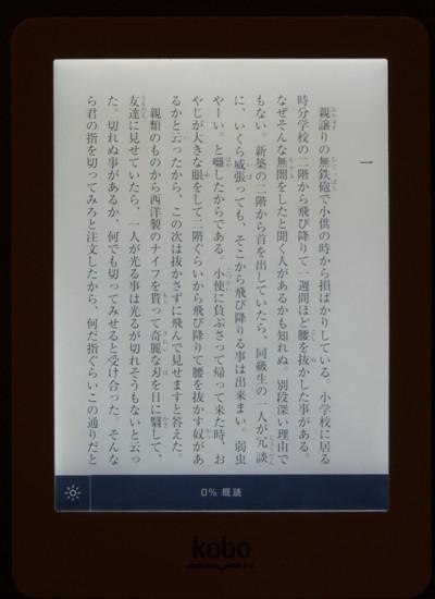 見た感じほぼ紙じゃん。E Inkとフロントライト搭載のkobo gloは読み