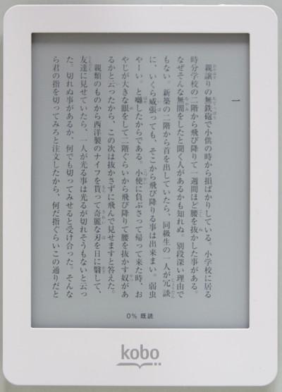 見た感じほぼ紙じゃん。E Inkとフロントライト搭載のkobo gloは読み