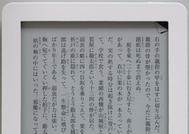 見た感じほぼ紙じゃん。E Inkとフロントライト搭載のkobo gloは読み
