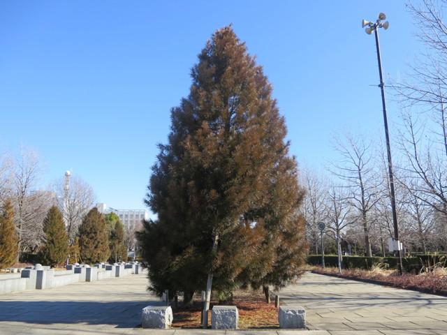 130128PowershotNGalally00.jpg