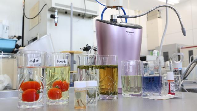 知らなきゃ損？ 胃腸にやさしいアルカリイオン水のすごさを整水器の