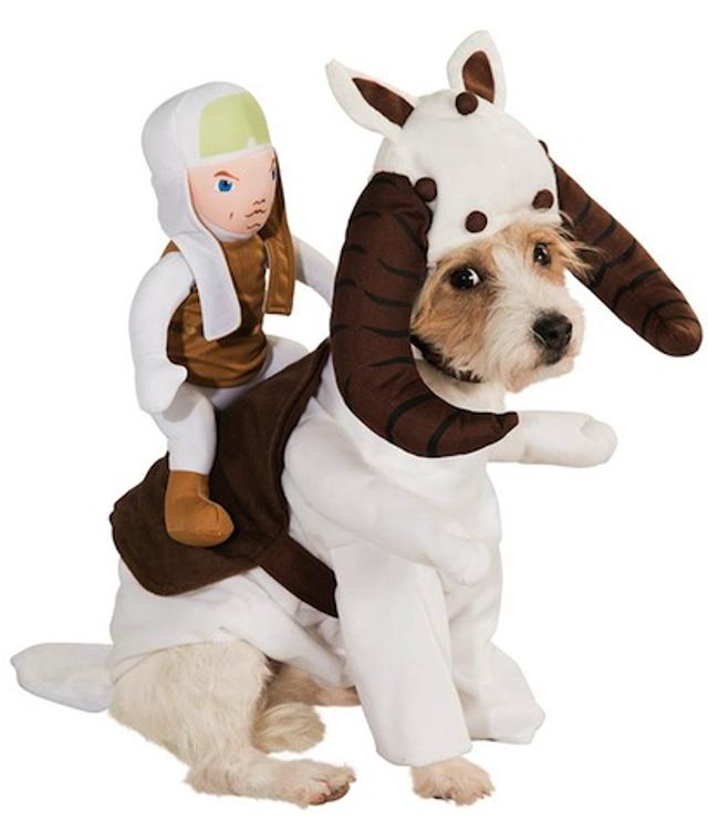886581-Tauntaun-Dog-Costume-large.jpg