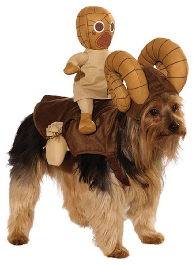 886583-Bantha-Dog-Costume-large.jpg