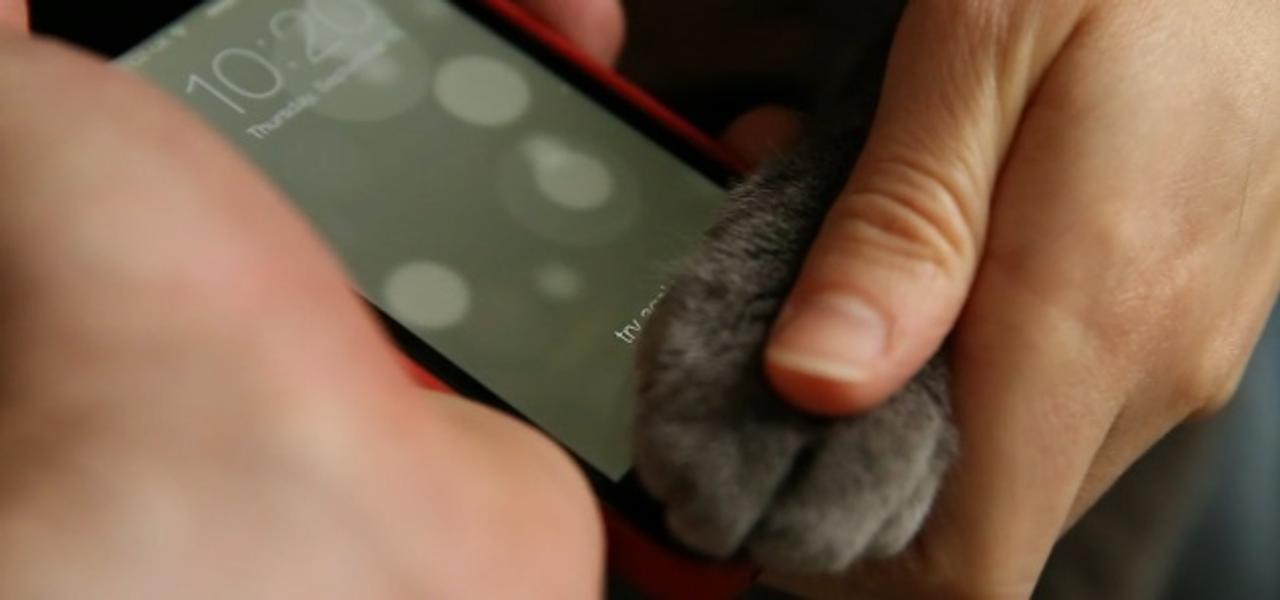 なんと！ 猫の肉球でもiPhone 5sの指紋認証が解除できると判明！