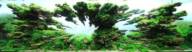 20130116aquariumworld04.jpg