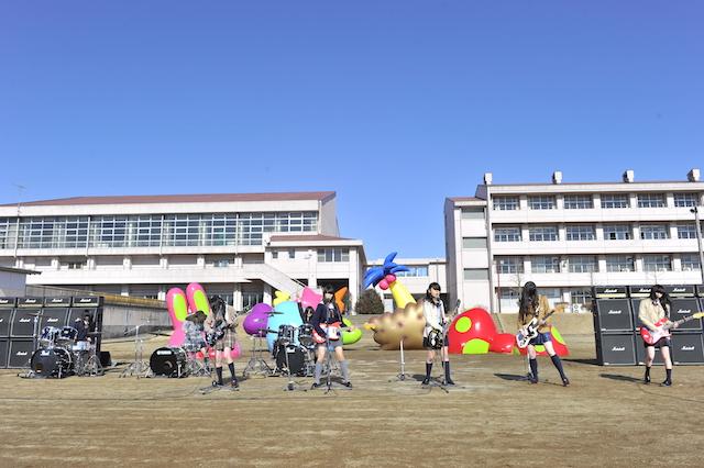 150317_coconuts_005.JPG