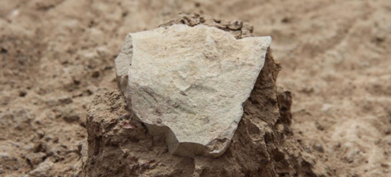 最古の石器出土。ヒトより古い