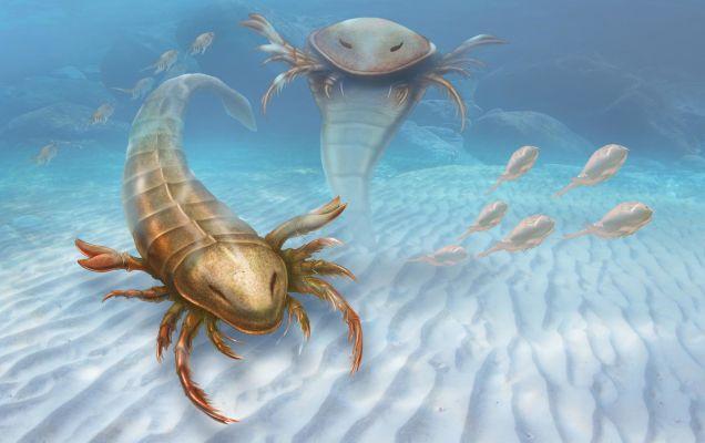 この古代の海の生物、とにかく巨大 | ギズモード・ジャパン