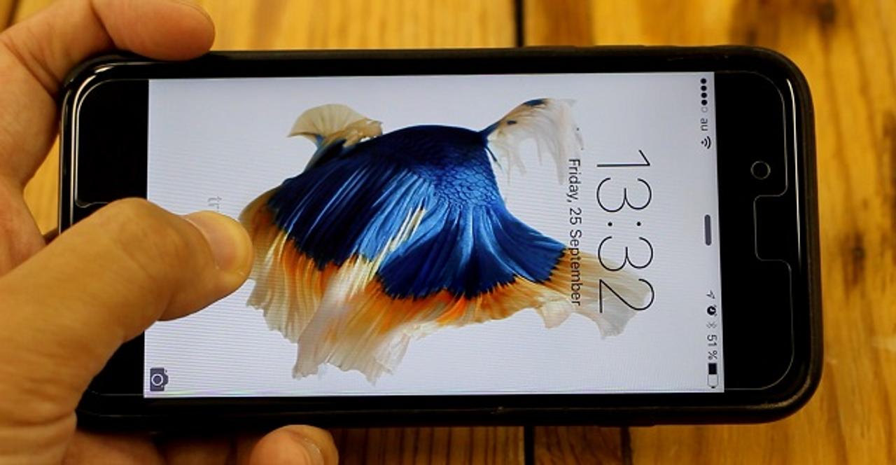 魚が動く、泳ぐ！ iPhone 6sの動く壁紙を体験せよ