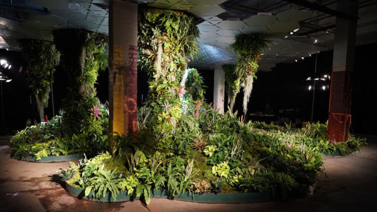 世界初の地下公園。これがニューヨークのジャングル、｢ロウライン｣だ！（まだ実験中）