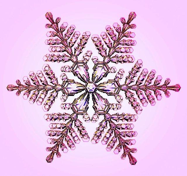 151221snowflakes07.jpg