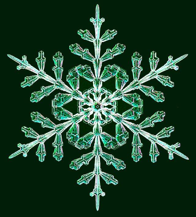 151221snowflakes09.jpg