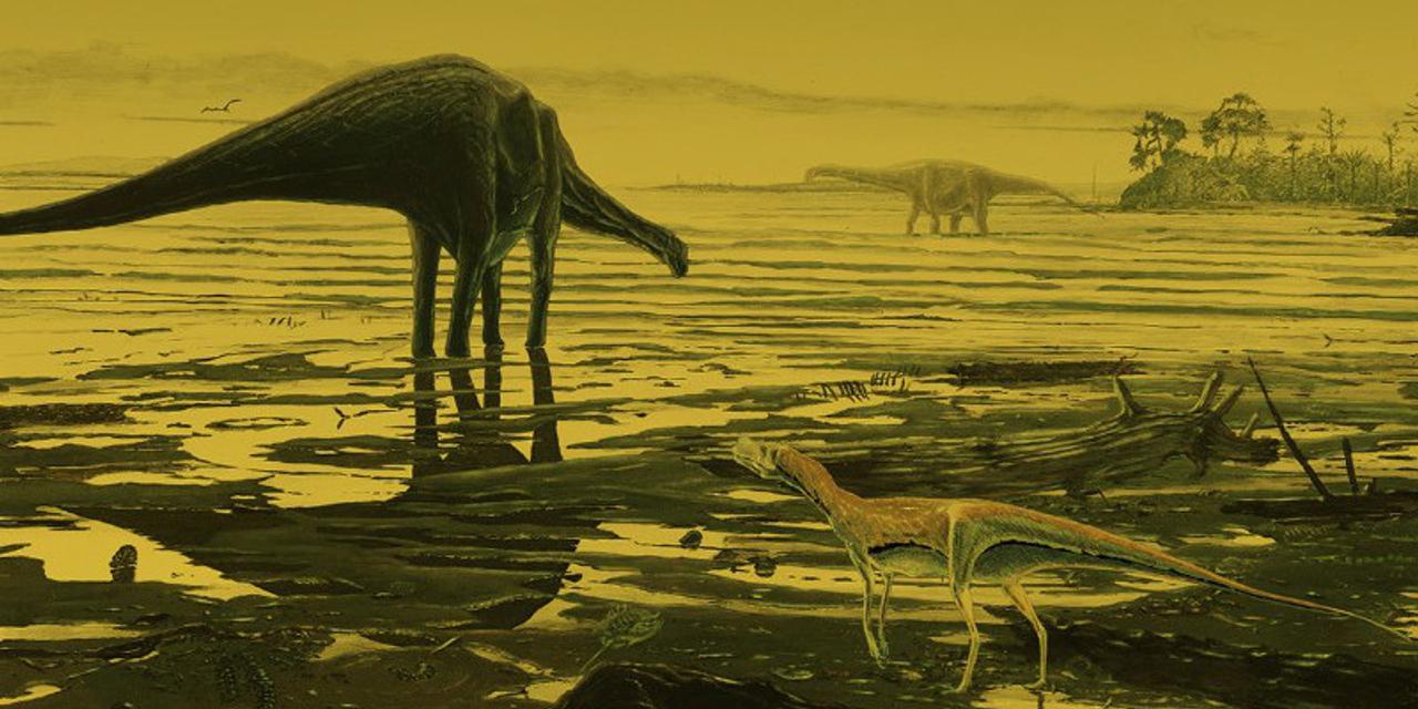 スコットランドで数百もの恐竜の足跡が見つかる