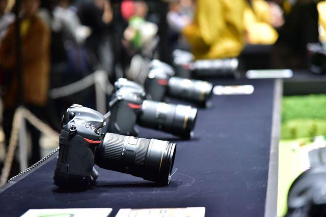 1600218-1600218-DSC_7515-R-R.jpg