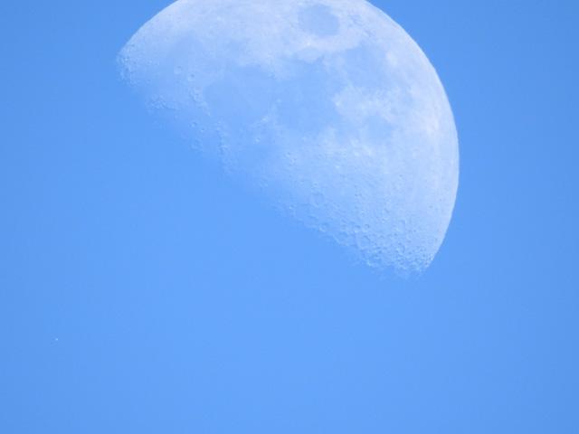160116_nikon_moon01.jpg