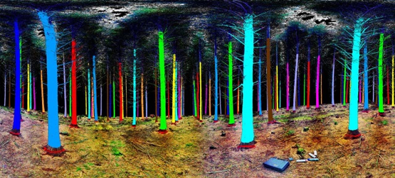 照らすだけで木の健康状態がわかる、3Dレーザースキャナー