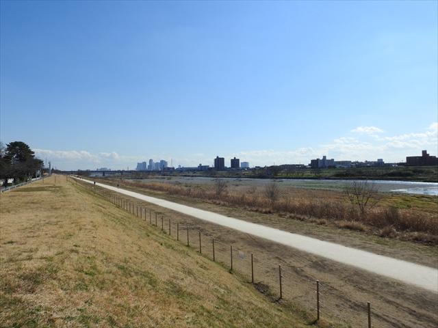 20160216nikon2_R.JPG