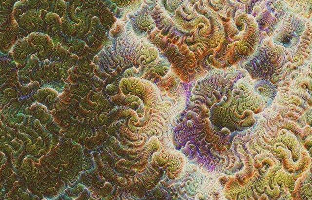 20160228_googleart05.jpg