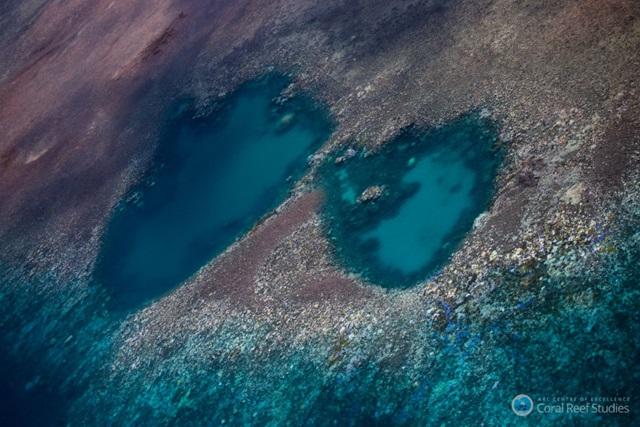 160403greatbarrierreef_dying_b.jpg