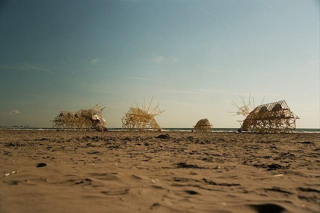 160530strandbeest3.jpg