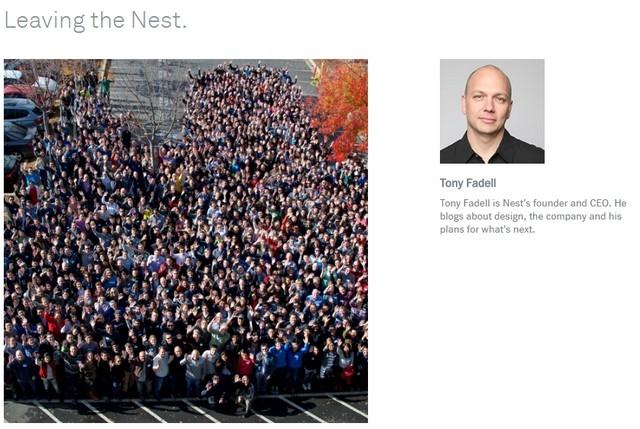 160606_tonynest.jpg