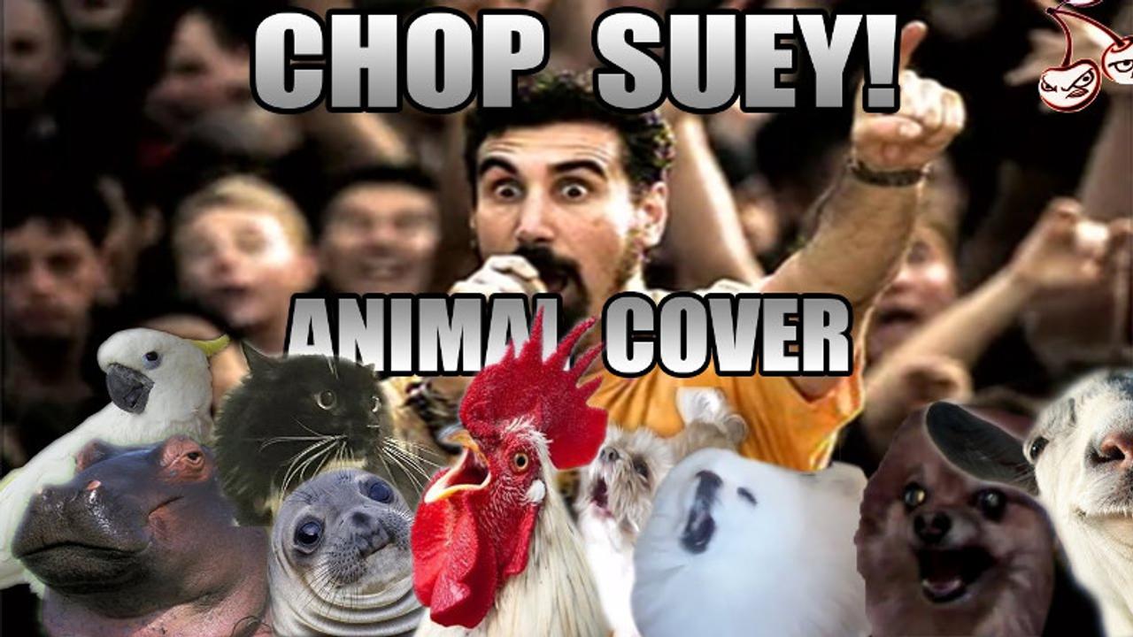 動物の鳴き声でシステム オブ ア ダウンの曲 Chop Suey をカバー ギズモード ジャパン