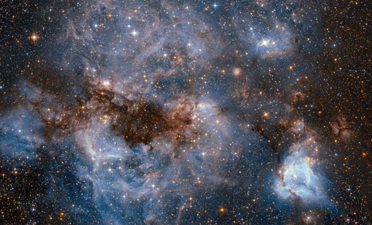 蝶の形をした星雲から、太陽の10倍の質量の星が誕生しているかも
