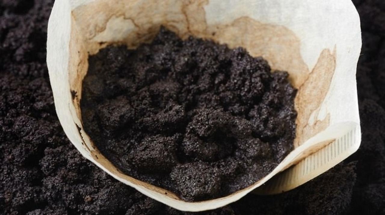 コーヒーかすの新たな活用法。水中の鉛や水銀を除去できるとイタリアの科学者たちが発表