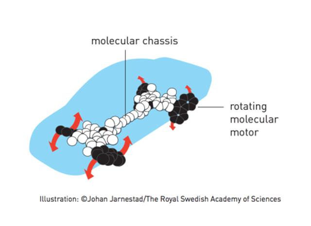 161006nobelprizeforchemistry02.jpg