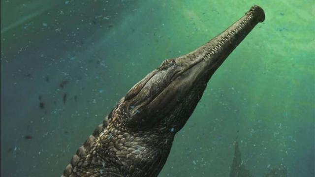 161011_ancientanimals10.jpg