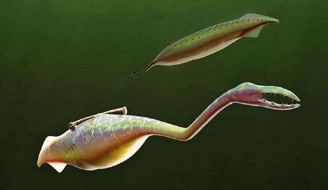 161011_ancientanimals12.jpg