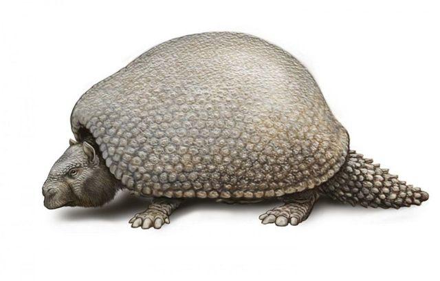 161011_ancientanimals3.jpg