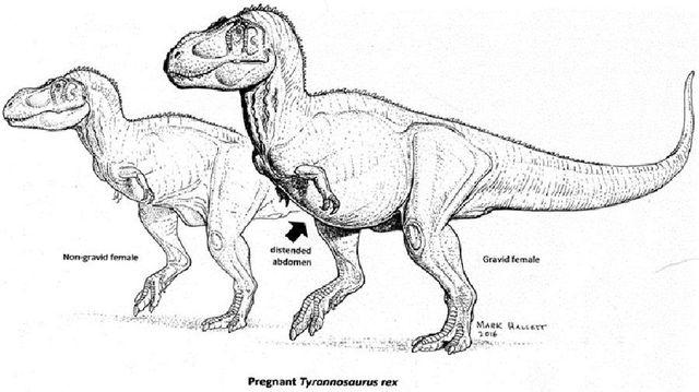 161011_ancientanimals9.jpg