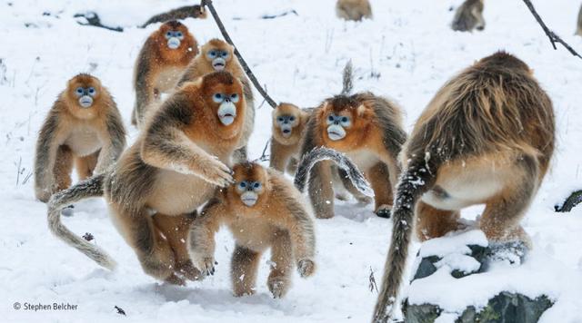 161129wildlifephoto6.jpg