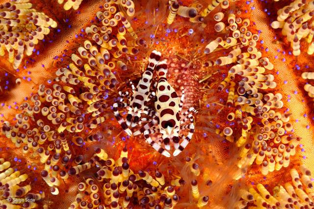 161129wildlifephoto9.jpg