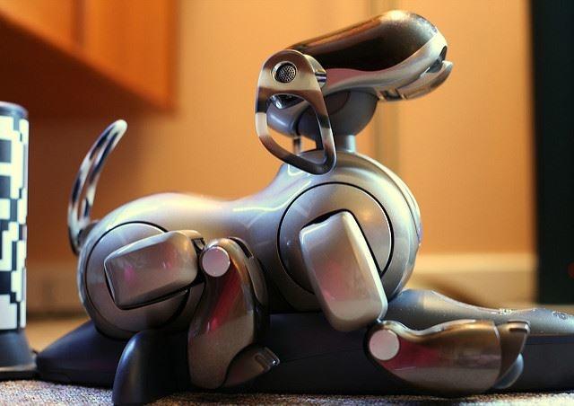 160629_aibo2_R.jpg