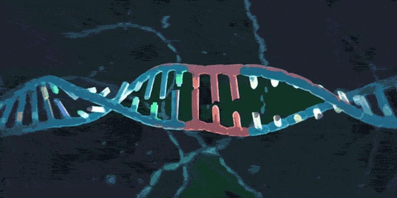 魔法の遺伝子編集技術｢CRISPR｣、特許をめぐり法廷バトル中