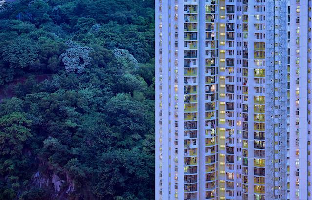 20161213_hongkong09.jpg