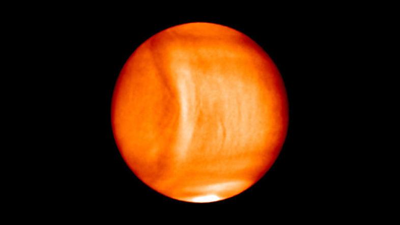 開運波動絵画　星花輝く宝石の黄金星光宝樹｜財宝が宿る星の木　金運と宇宙エネルギー 開運絵画 波動金波黄金波動満開鳳凰様煌めき☆ - メルカリ