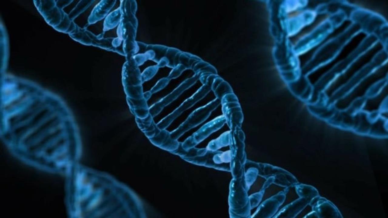 遺伝子技術｢CRISPR-Cas9｣の特許バトルに裁定、の意味