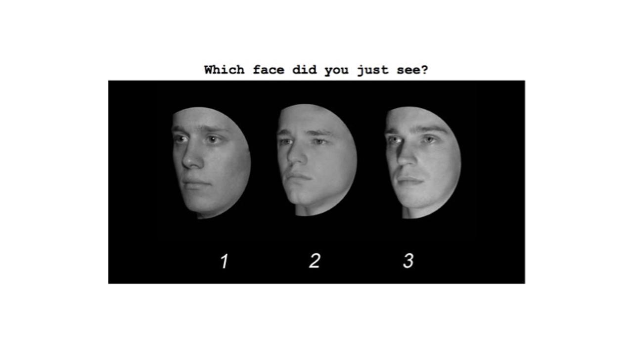 新生活で人の顔が覚えられないアナタへ送る｢顔認識能力テスト｣：平均スコア80を越えられるか