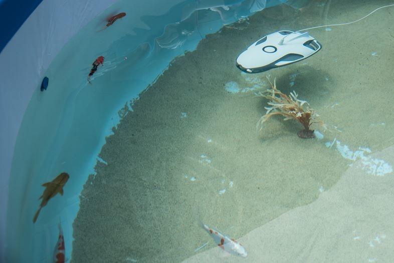 水中ドローン「PowerRay」が日本上陸。海のなか丸見えで魚釣りして 水中ドローン「PowerRay」が日本上陸。海のなか丸見えで魚釣りして
