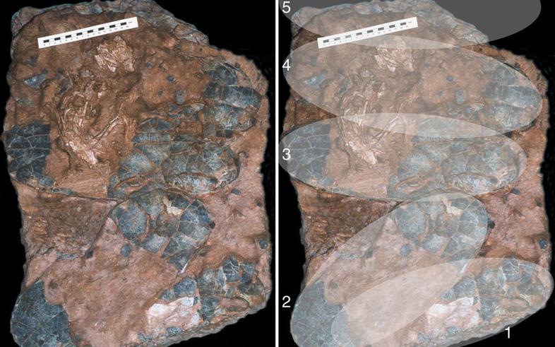 f5ddc4f28eaf52660f28f1f90b6916