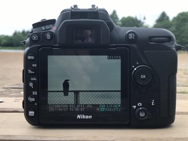 170608D7500-02_640.jpg