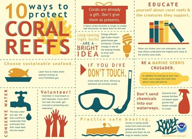 170626coralreef2.jpg